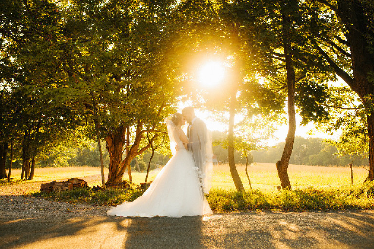 warm and sunny couple in trees at Chimney Hill Estate wedding in Lambertville by Kasey Ivan Photography