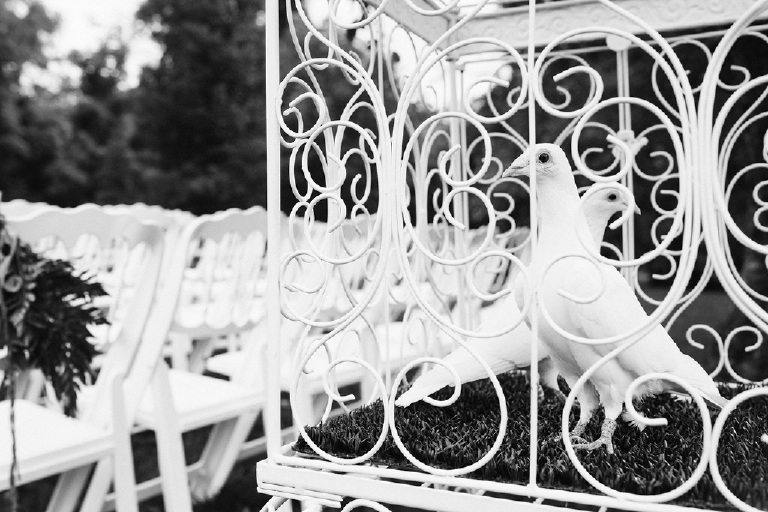 Joe Greg - Barley Sheaf New Hope Pennsylvania Gay Same Sex Wedding - Kasey Ivan Phtoography-42