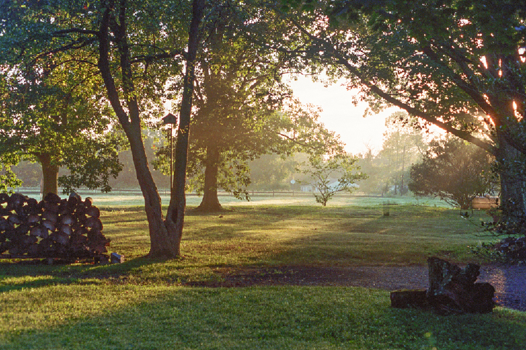 film-02-personal-new-hope-and-lambertville-wedding-and-portrait-photographer-6